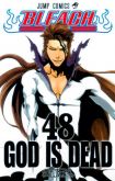 Bleach nº 48